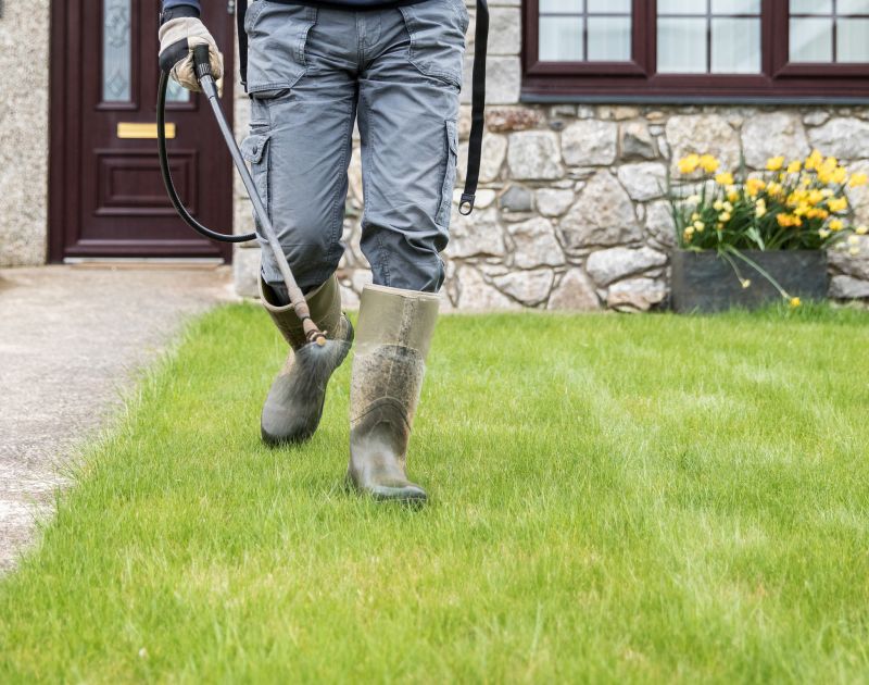 Licensed and Insured Services